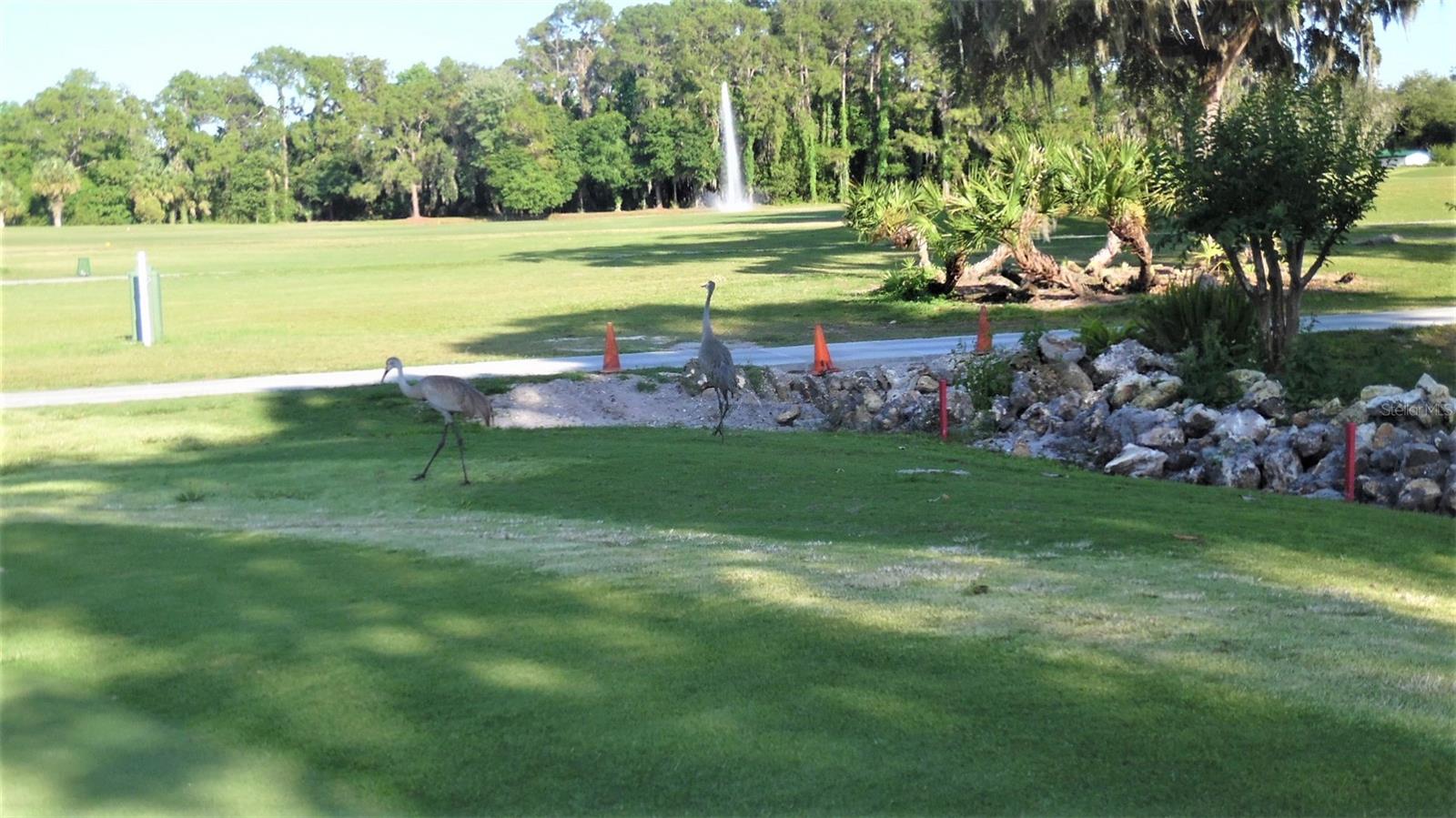 CONTINENTAL COUNTRY CLUB - Residential