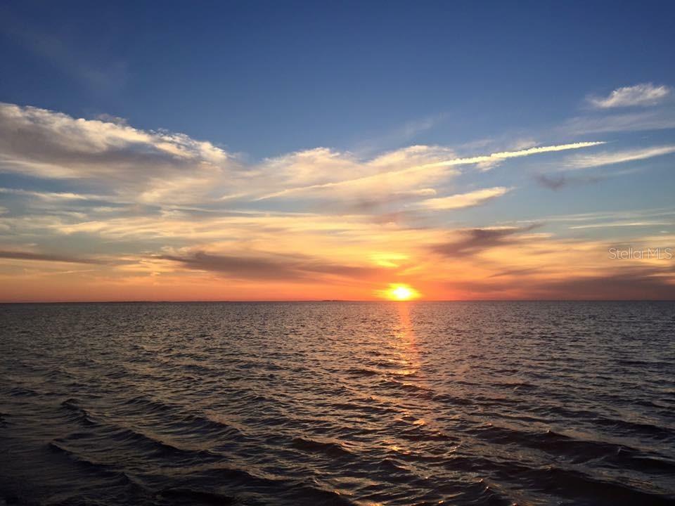 CRYSTAL BEACH REV - Residential Lease