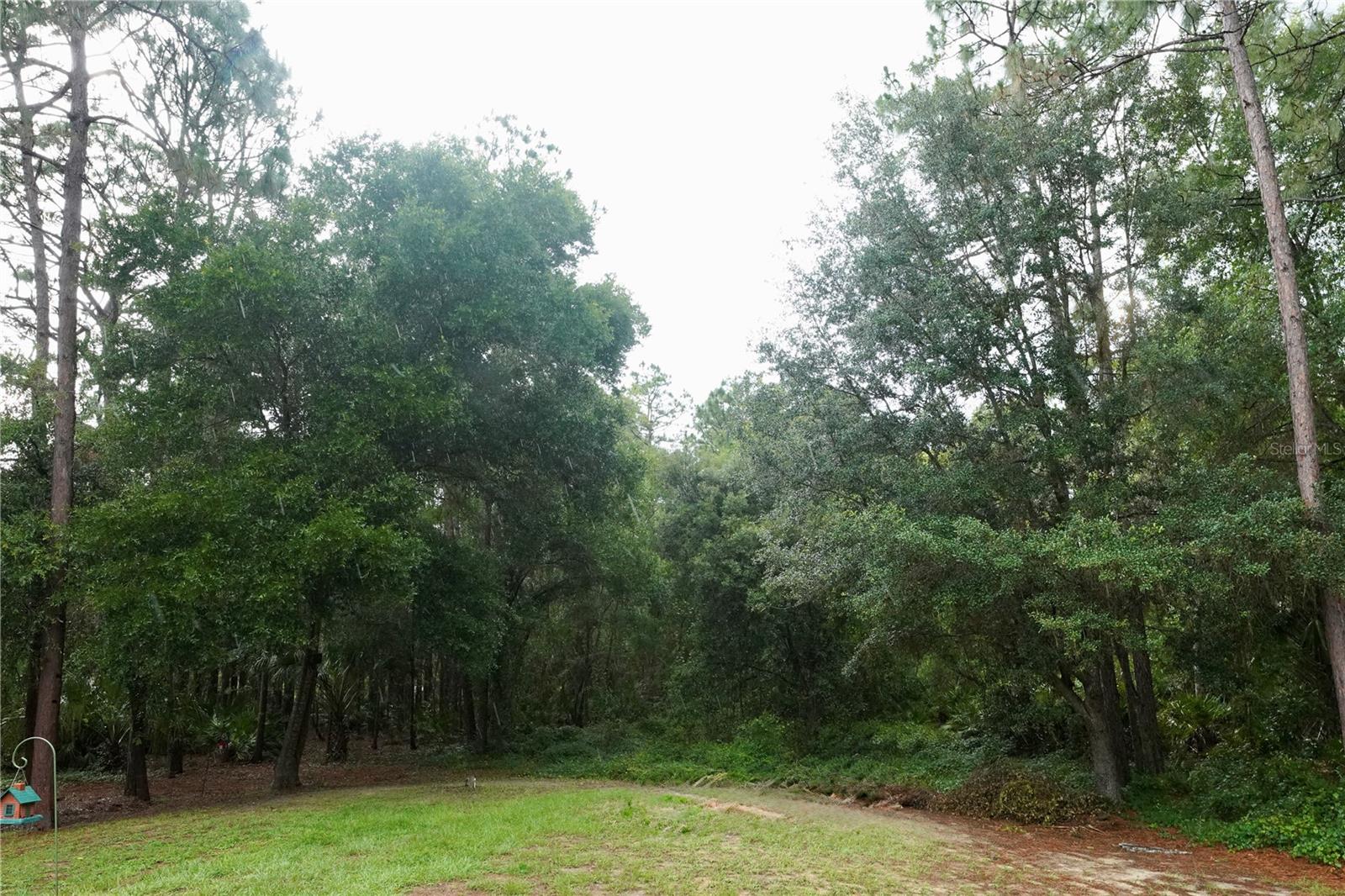 BERKSHIRE ACRES ACCEPTED UNREC SUB - Residential