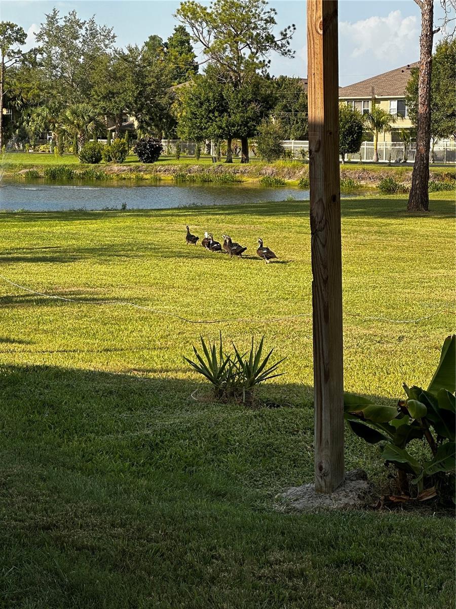 VENDOME VILLAGE - Residential