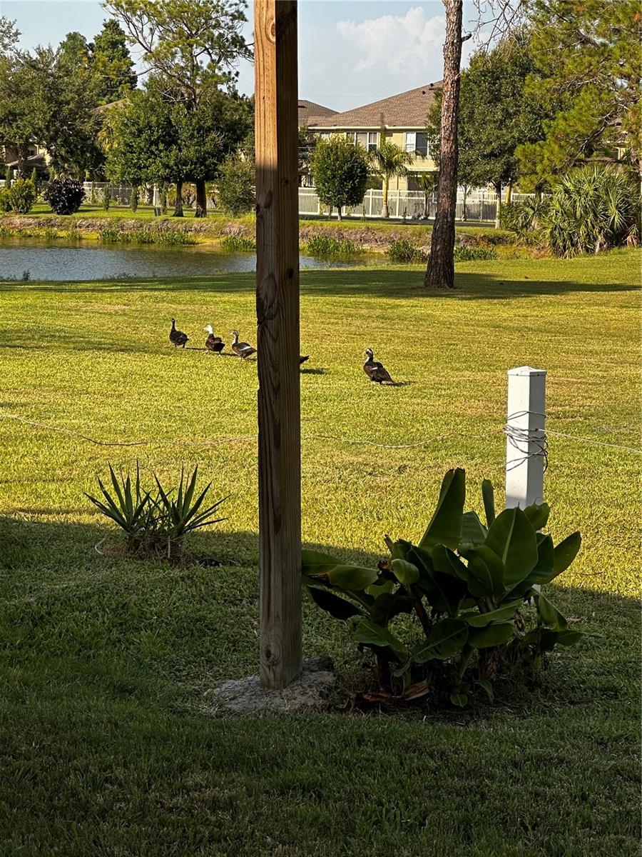 VENDOME VILLAGE - Residential