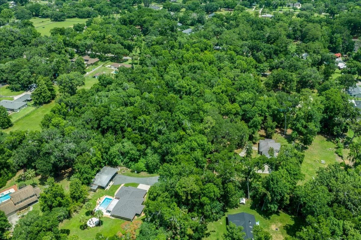 FLORIDA ORANGE GROVE - Land
