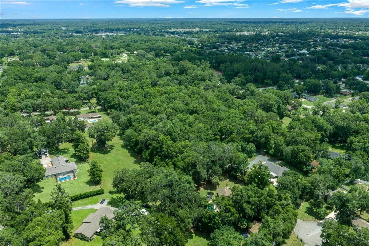 FLORIDA ORANGE GROVE - Land