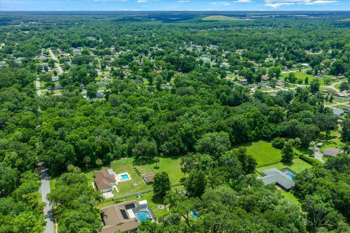 FLORIDA ORANGE GROVE - Land