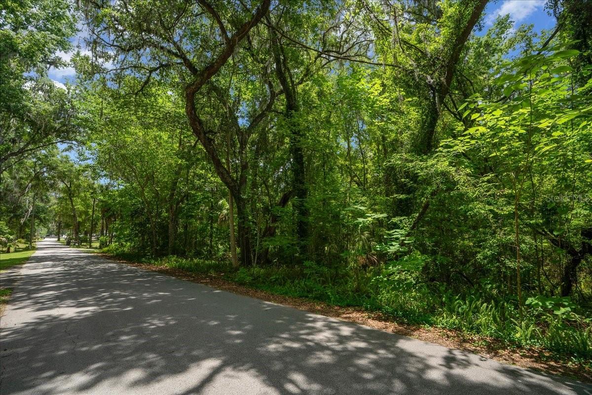 Build your dream home on this beautiful 4.55-acre wooded parcel in the sought-after Florida Orange Grove area of southeast Ocala. Surrounded by mature trees and natural Florida landscape, this spacious property offers the perfect blend of privacy, peace, and country living while remaining just minutes from shopping, dining, and everyday conveniences. Whether you're looking for a home-site, weekend retreat, or investment opportunity, this rare acreage provides plenty of room to create your own private oasis in one of Ocala's most desirable rural settings. Florida Orange Grove is known for its large home-sites, wooded surroundings and quiet country atmosphere.