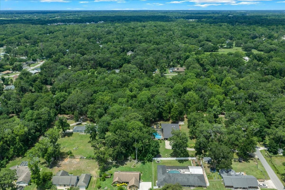 FLORIDA ORANGE GROVE - Land