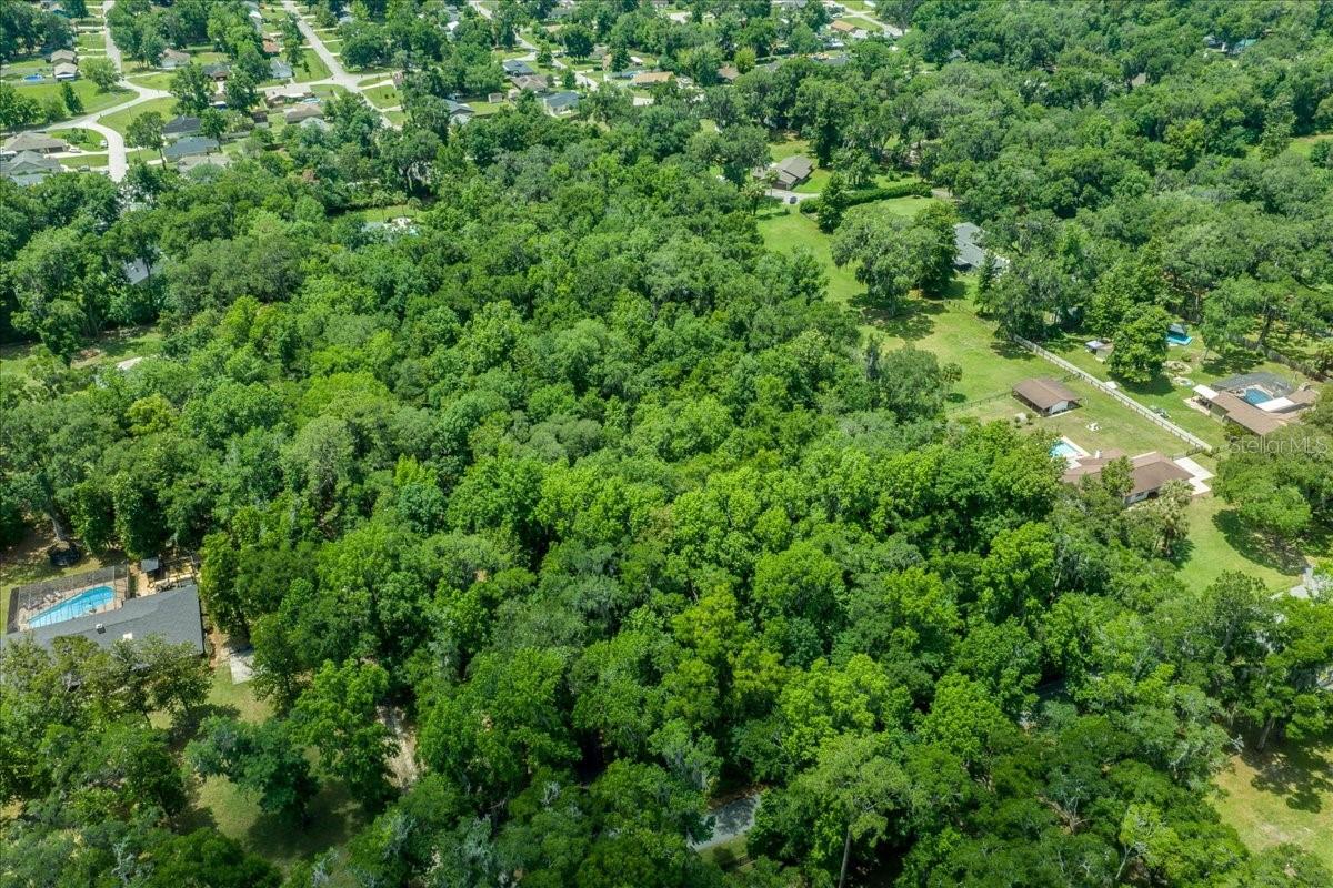 FLORIDA ORANGE GROVE - Land