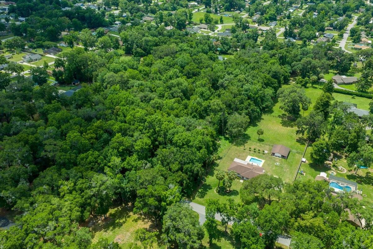FLORIDA ORANGE GROVE - Land