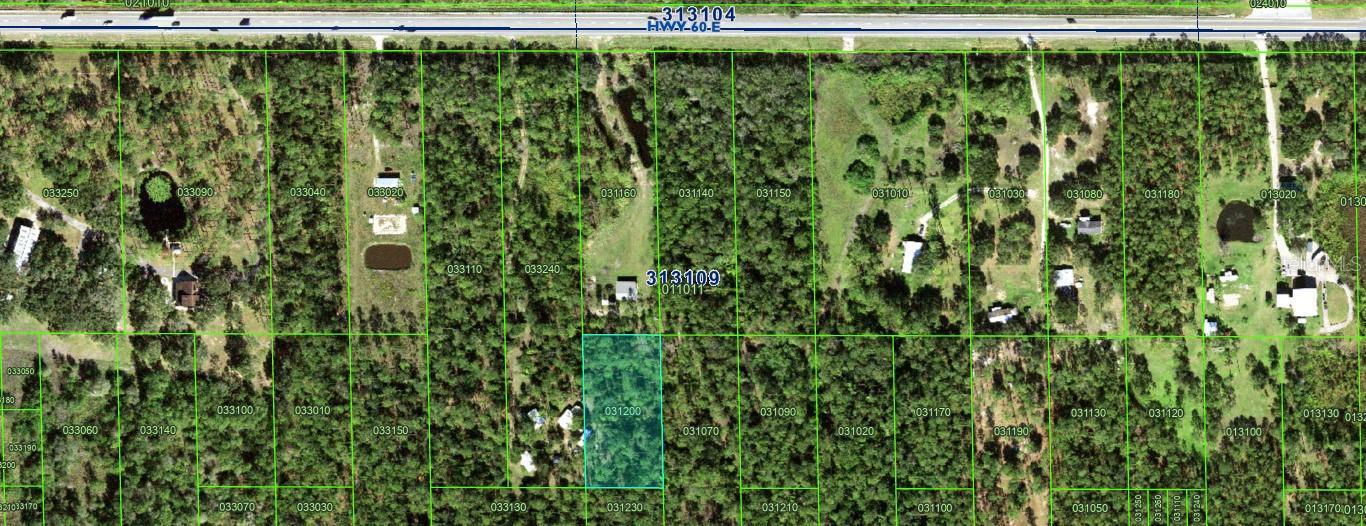 This 1.28 acre parcel of land is located in Central Florida's River Ranch area.  A private gated community that offers owners and members exclusive access to 44,000 acres of unspoiled nature.  Enjoy a variety of outdoor activities including ATV / 4-wheeler mudding, trail riding, hunting, fishing, primitive camping and archery.  This community is perfect for adventurers and nature lovers.  This lot is not buildable and is inaccessible.