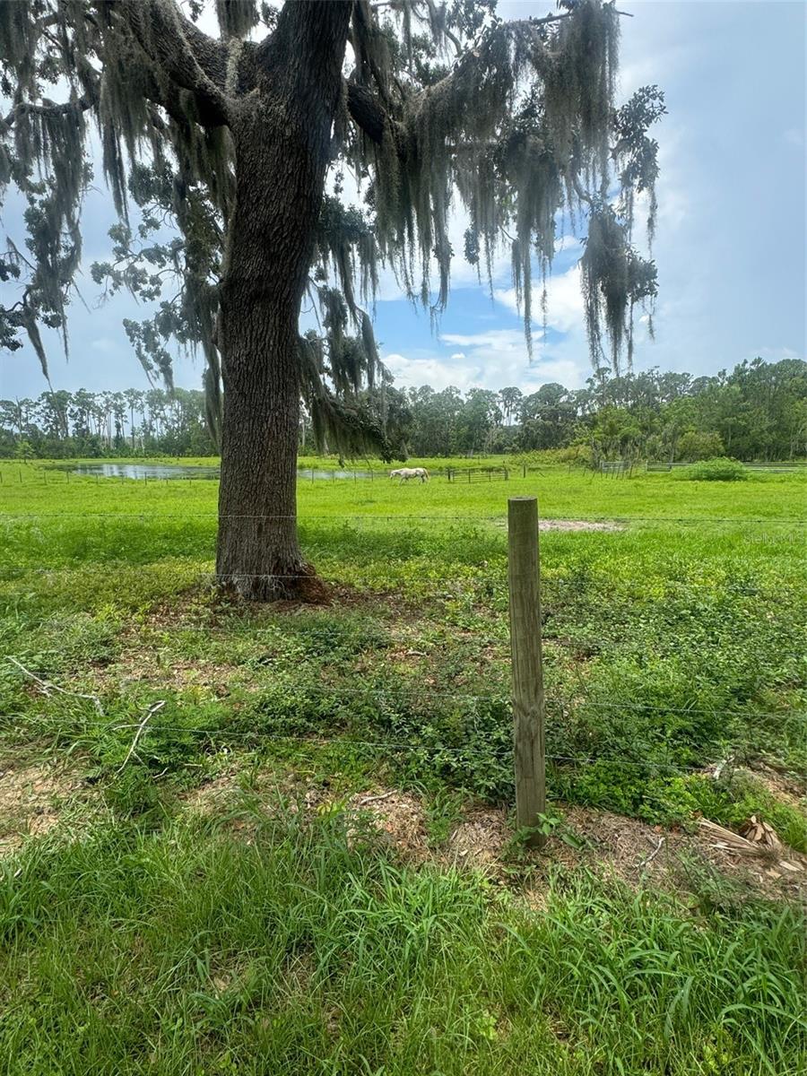 ACREAGE & UNREC - Residential
