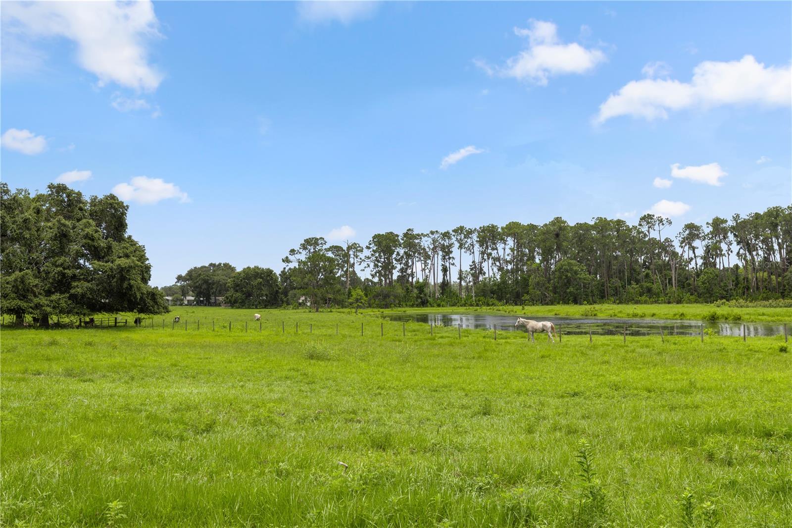 ACREAGE & UNREC - Residential