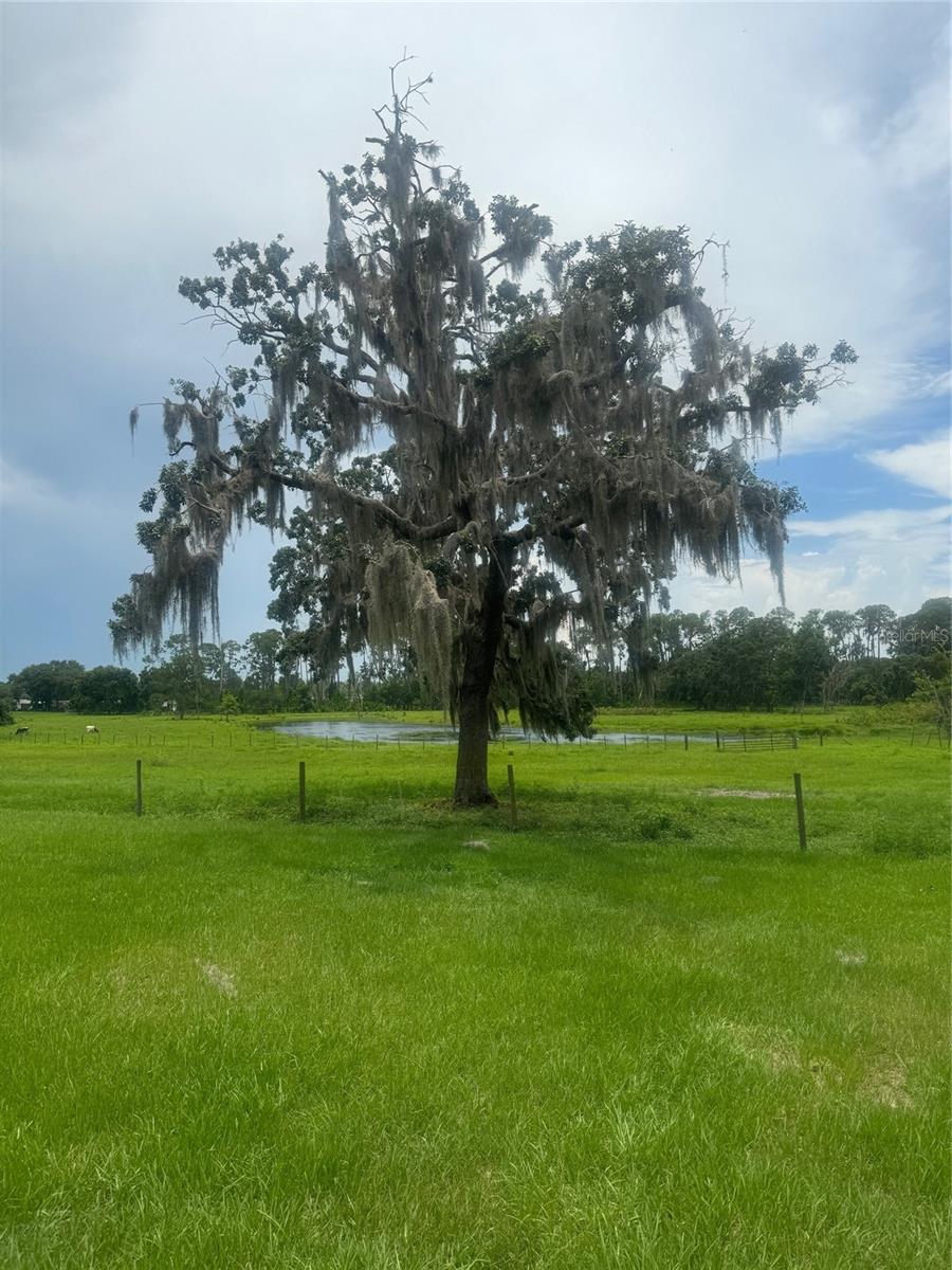 ACREAGE & UNREC - Residential