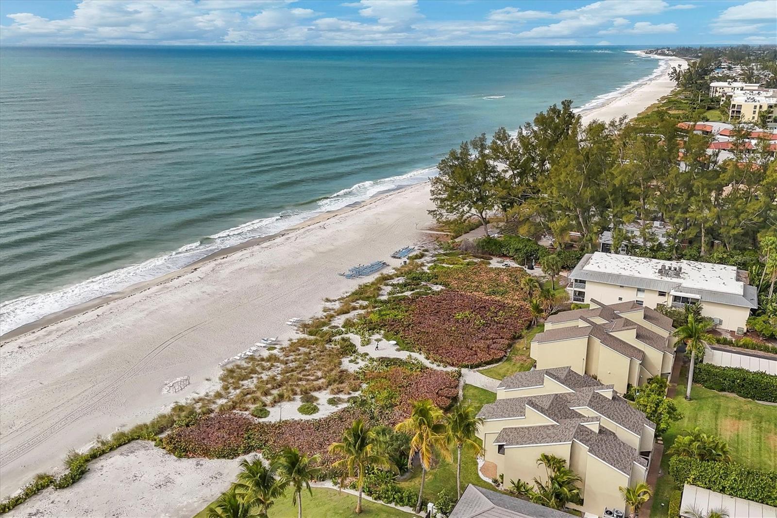THE BANYAN BAY CLUB - Residential