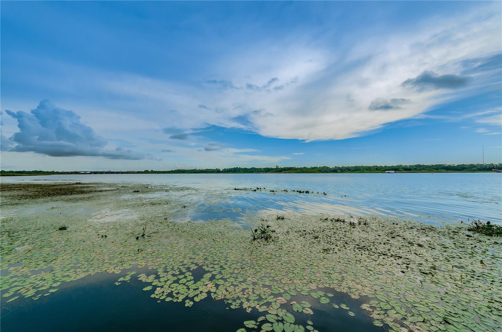 TOWNHOMES OF LAKE SEMINOLE - Residential