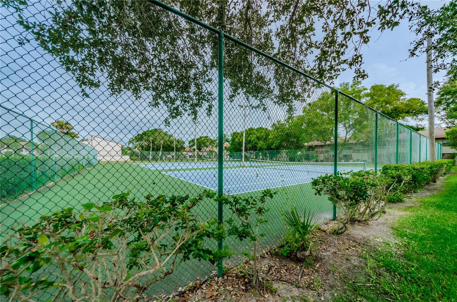 TOWNHOMES OF LAKE SEMINOLE - Residential