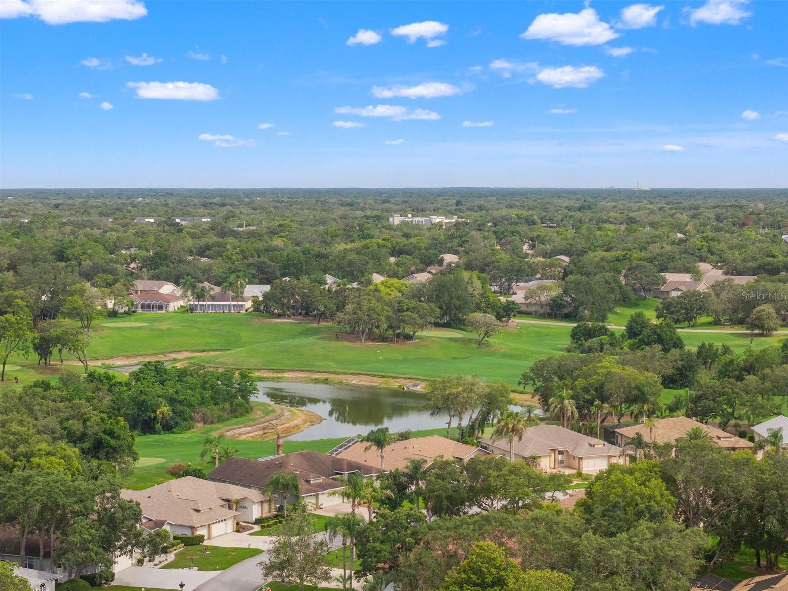 TIMBER PINES - Residential