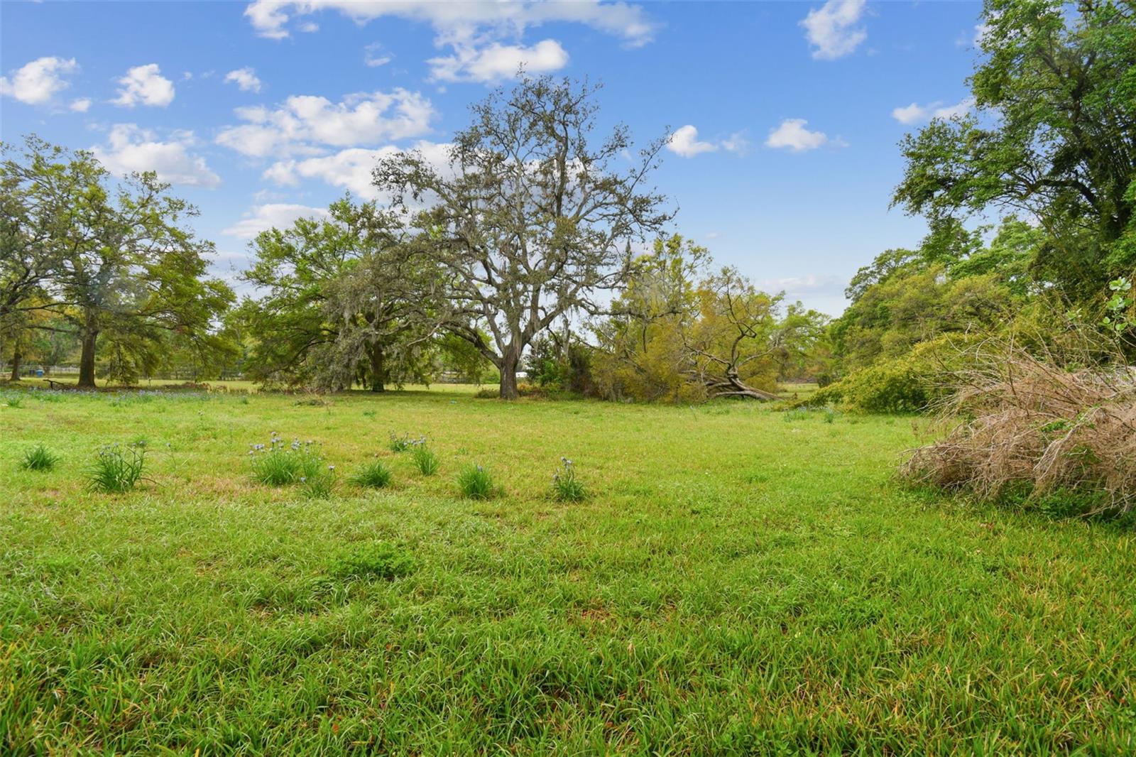 UNPLATTED - Land