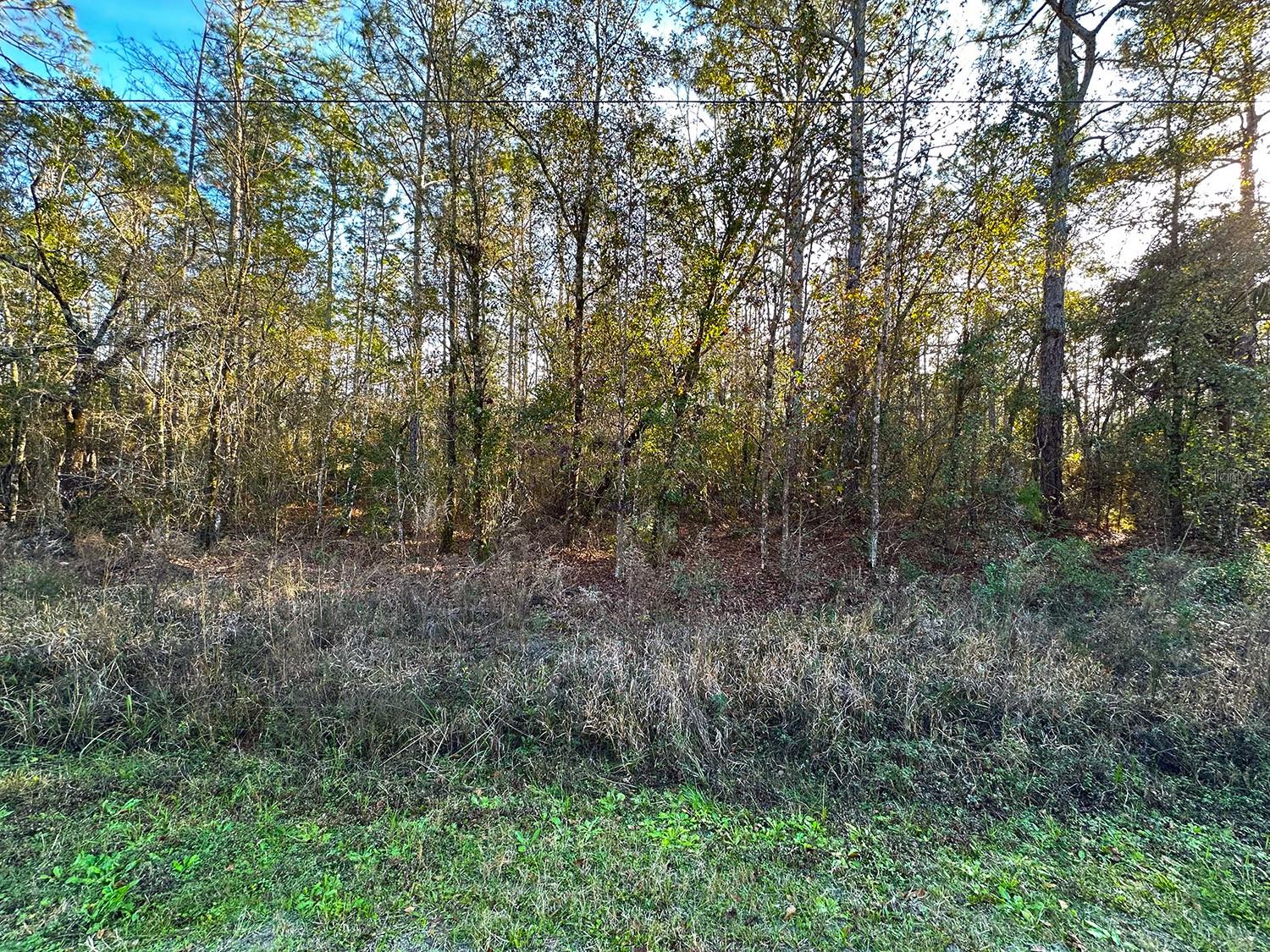 FLAGLER ESTATES UR SUB - Land