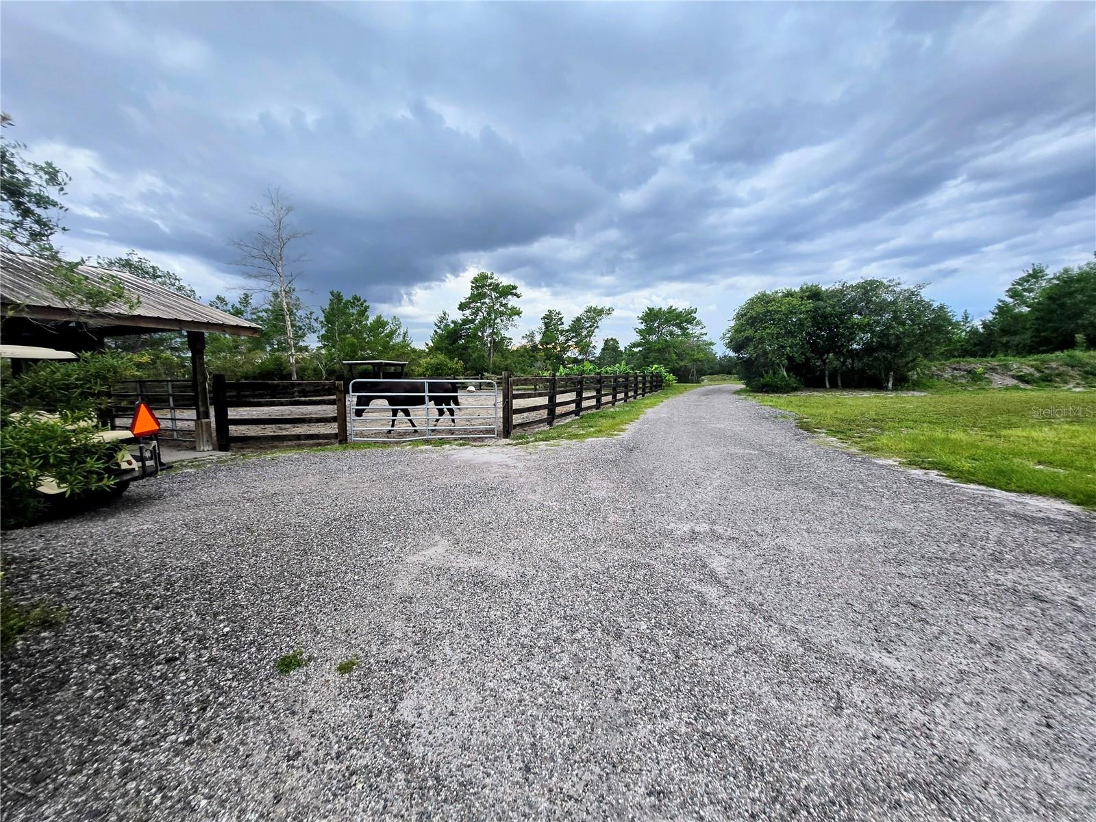 DELTONA LAND & TIMBER - Land
