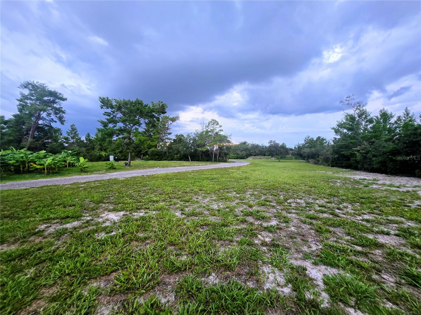 DELTONA LAND & TIMBER - Land