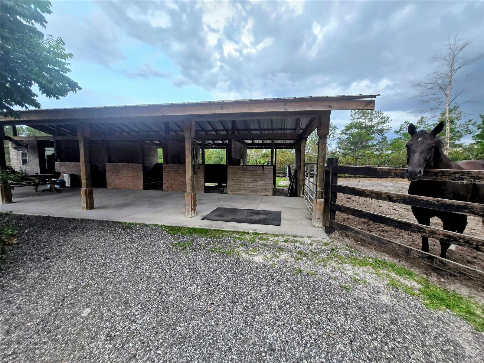 DELTONA LAND & TIMBER - Land