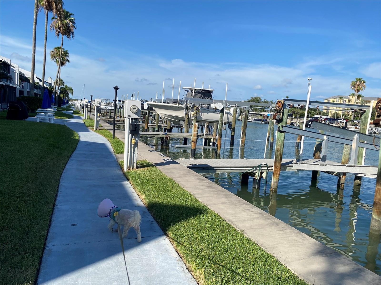 MADEIRA BEACH YACHT CLUB CONDO - Residential