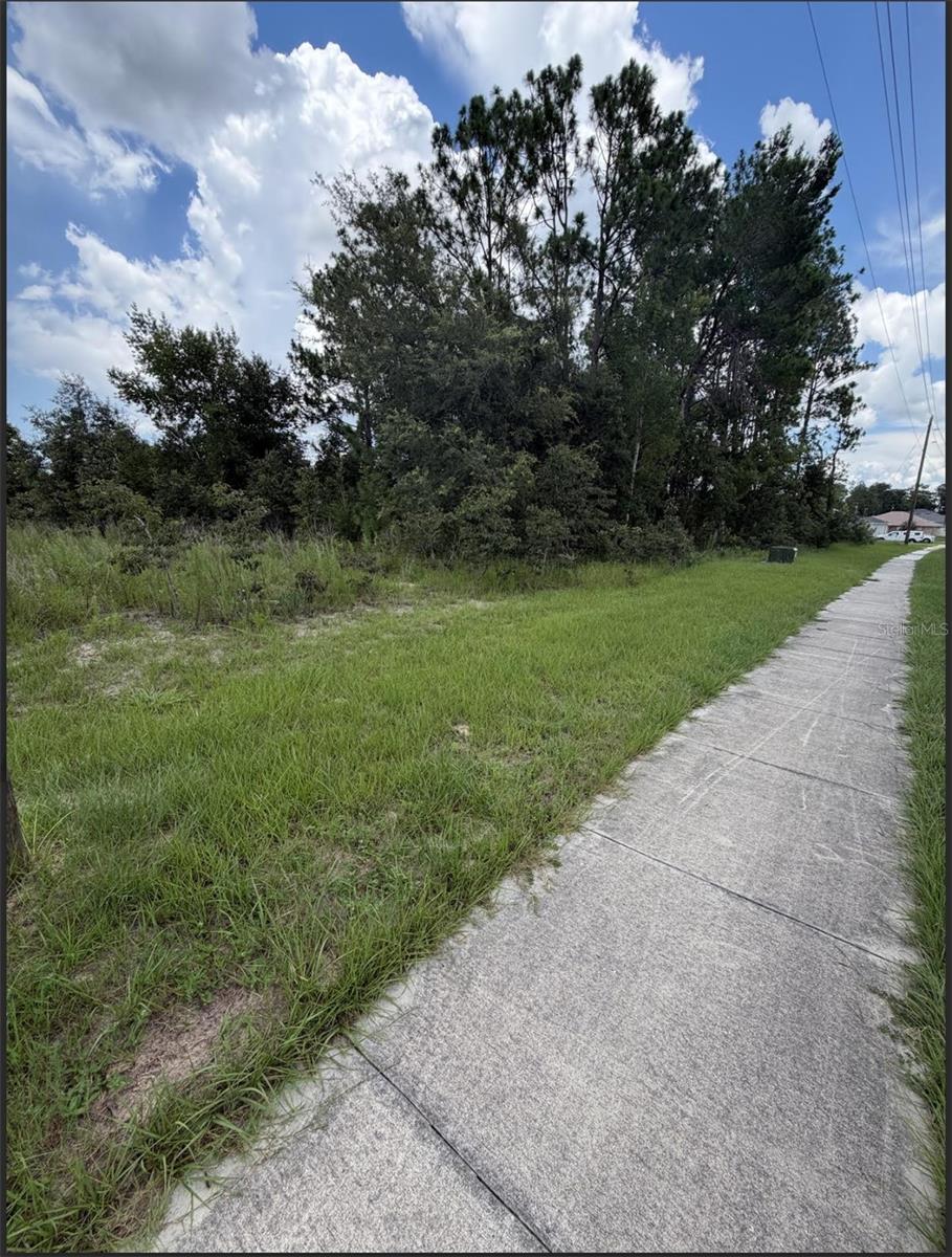 Great opportunity to own a vacant residential lot directly on Marion Oaks Trail, a paved road in Marion Oaks. With no HOA, this property offers flexibility for a builder looking for a spec home site or a buyer ready to purchase land and build their own home. Conveniently located just 4.5 miles from I-75, this lot provides easy access to Ocala, Belleview, shopping, dining, and everyday amenities. Whether you are looking to build now or hold for the future, this property is a great option in Marion County.