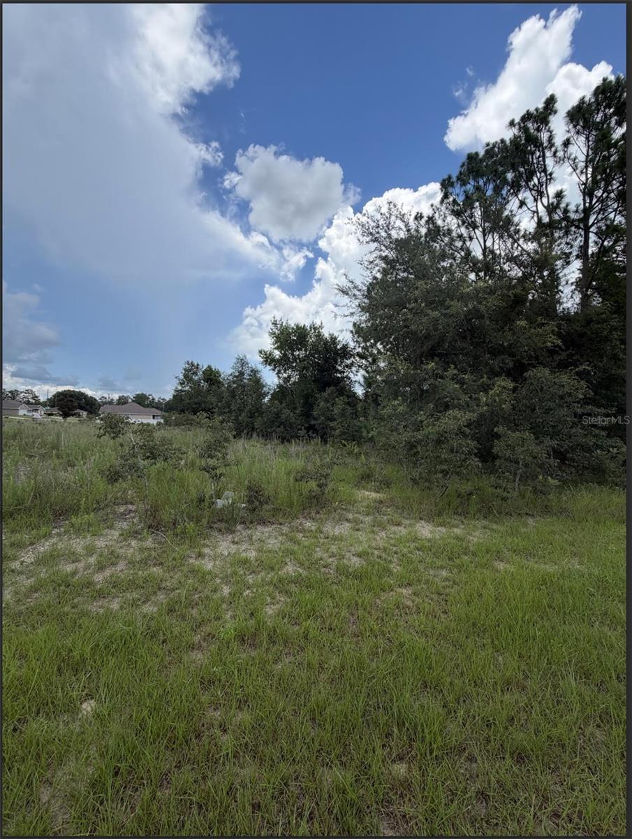 MARION OAKS 10 - Land