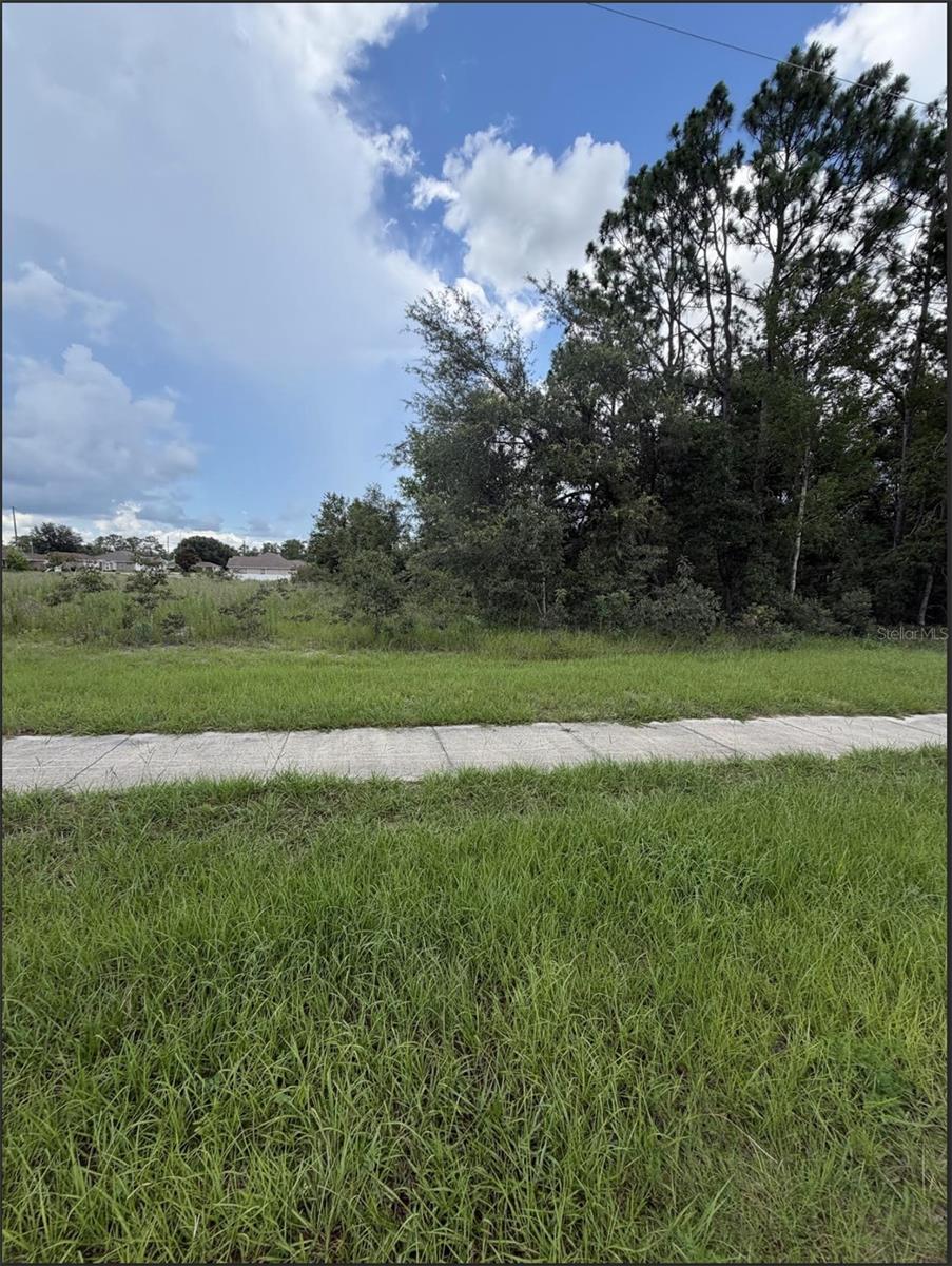MARION OAKS 10 - Land