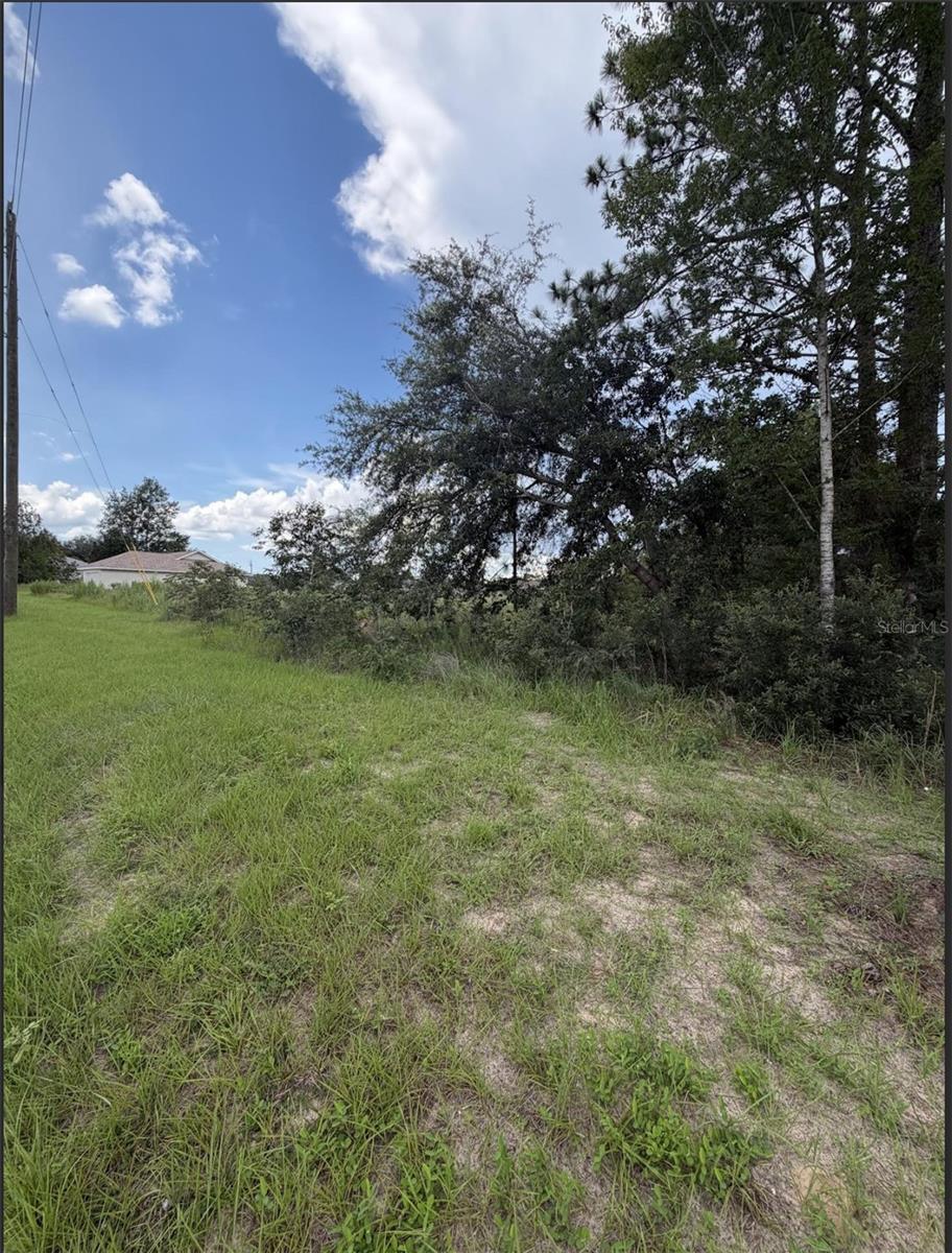 MARION OAKS 10 - Land