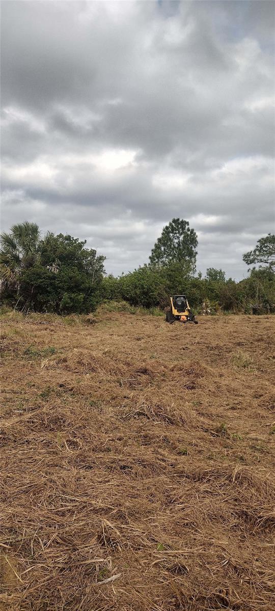 PINE RIDGE ESTATES - Land