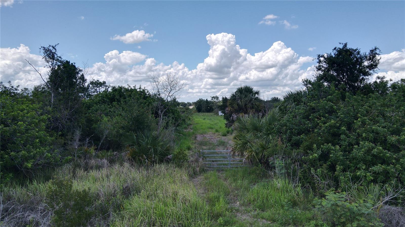 PINE RIDGE ESTATES - Land