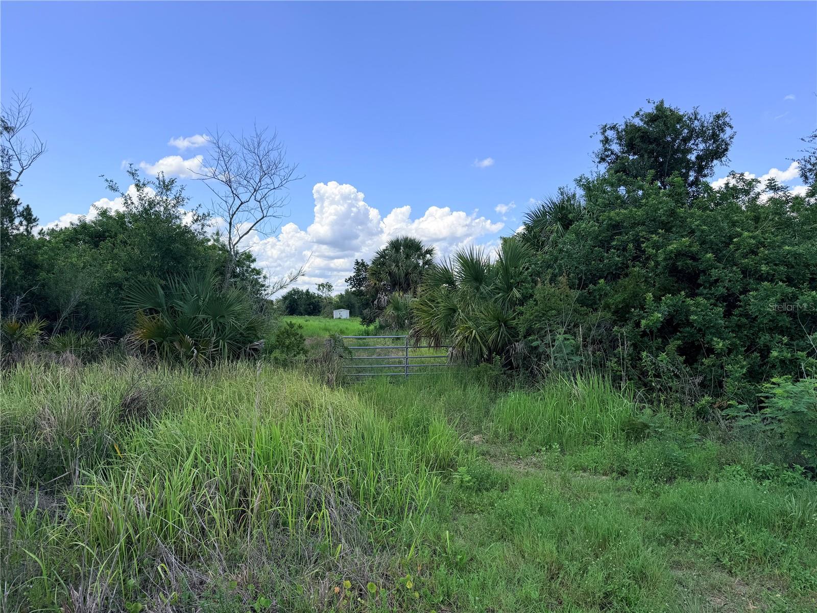 PINE RIDGE ESTATES - Land