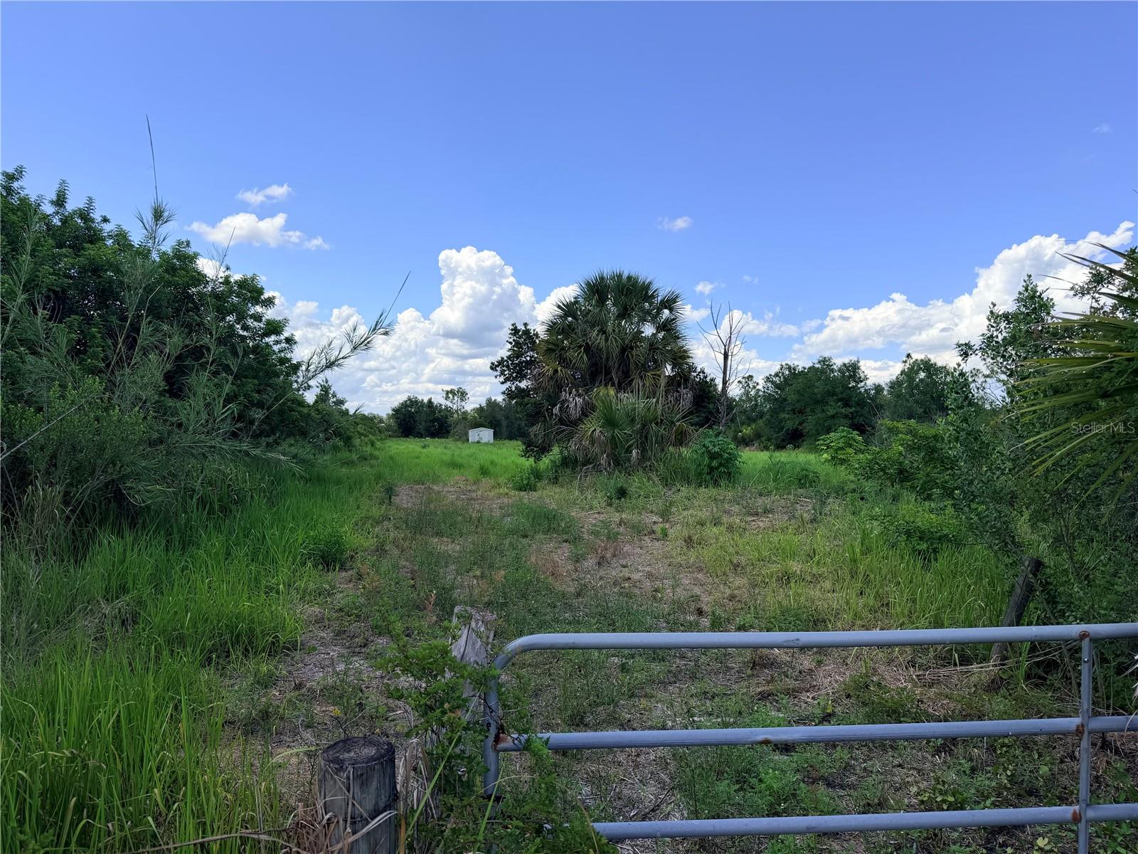 PINE RIDGE ESTATES - Land