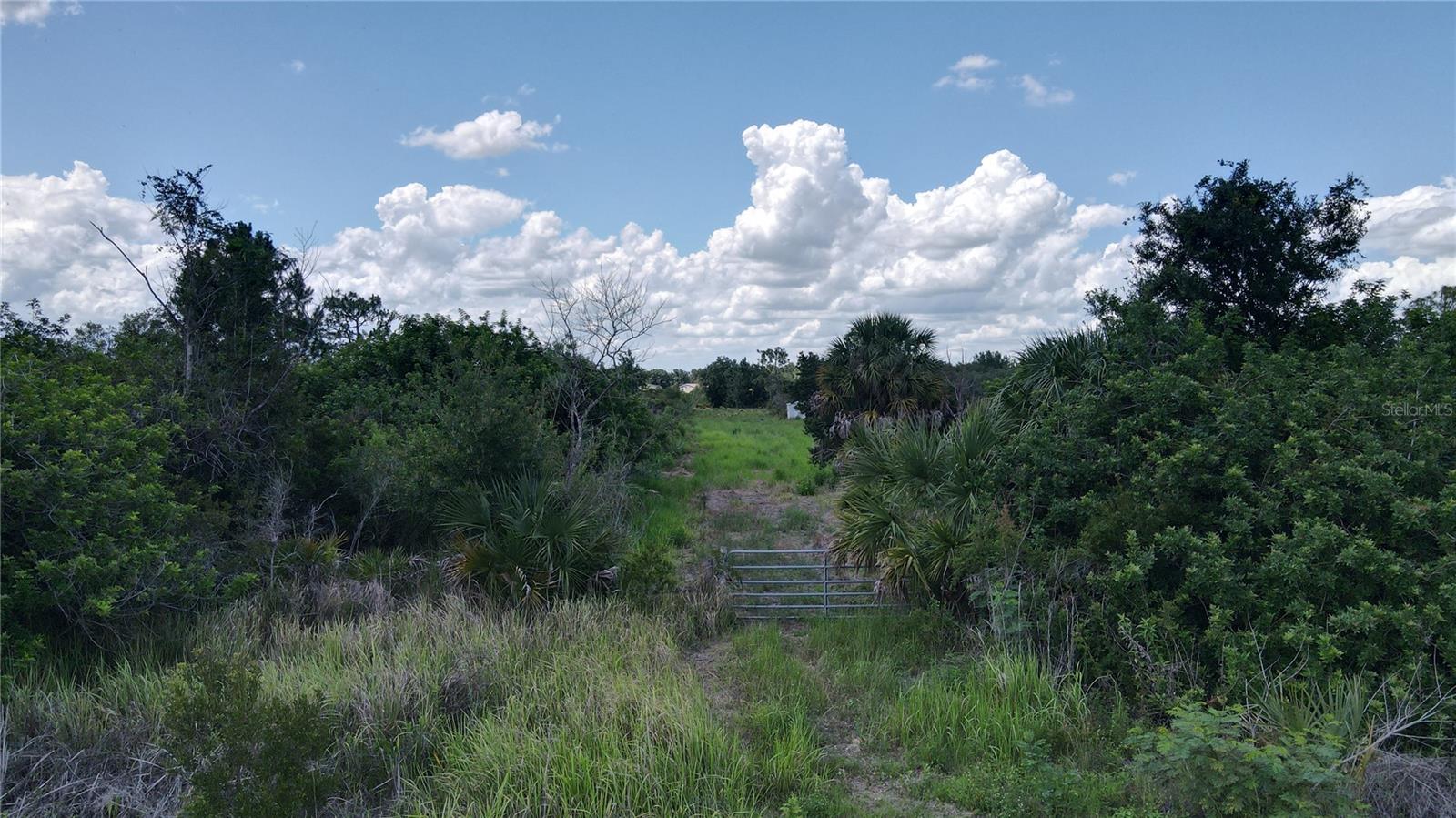PINE RIDGE ESTATES - Land