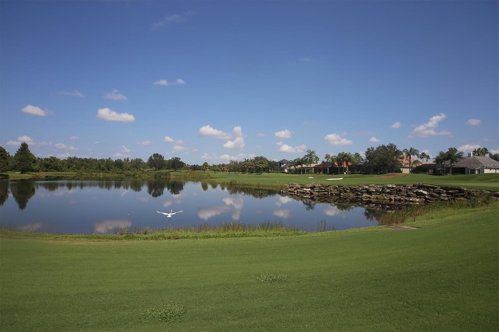 LAKEWOOD RANCH COUNTRY CLUB VILLAGE R&S - Residential