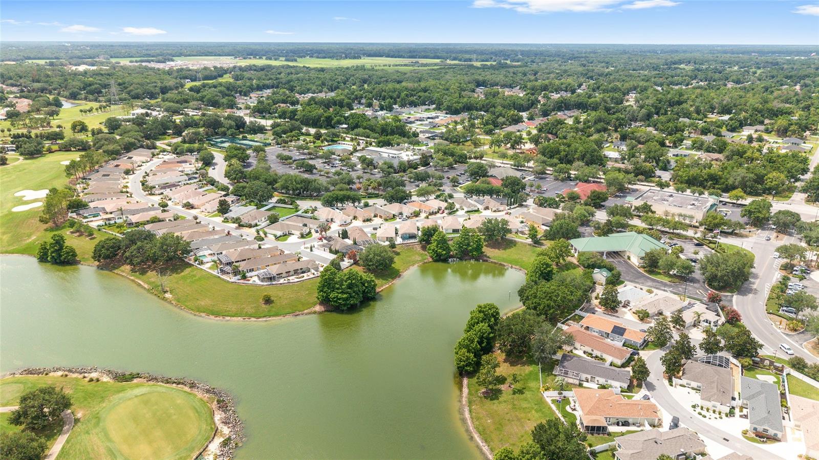 THE VILLAGES FORSYTH VILLAS - Residential