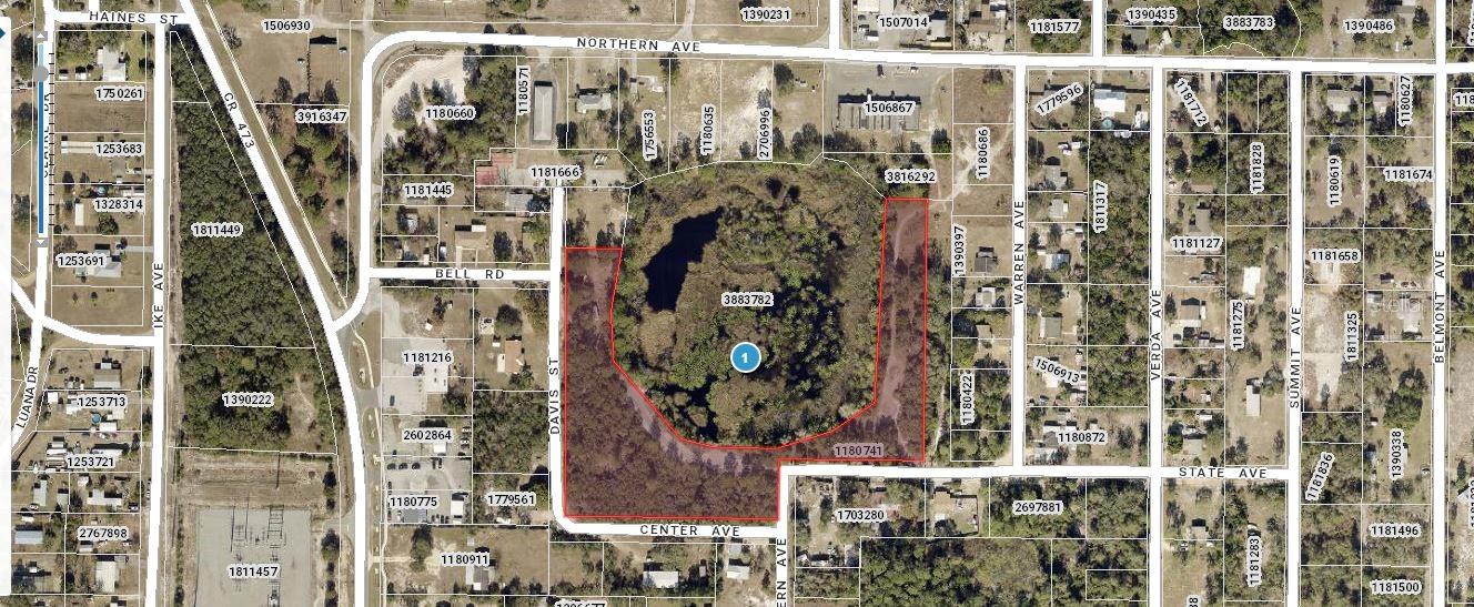 Presenting a generous 3.75-acre vacant  lot on Western Avenue in Leesburg, Florida (34788). "Zoning: R-6" This expansive parcel offers exceptional potential for a custom spot, private estate, or future development, providing ample space for outdoor living, gardens, recreational areas, or additional structures. Set in a peaceful yet accessible location, the property is just minutes from shopping, dining, schools, and local amenities. With its combination of size, flexibility, and convenience, this lot represents a valuable opportunity for builders or investors seeking a substantial piece of land in a desirable Central Florida community. Pin Location: Latitude 28.83830877, Longitude-81.77153539. Note: buyers I emphasize the importance of conducting thorough due diligence to ensure that the property meets your expectations and requirements.