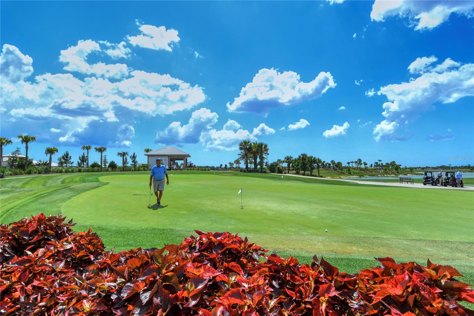 AZARIO ESPLANADE - Residential