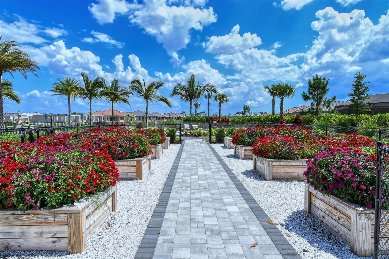 AZARIO ESPLANADE - Residential