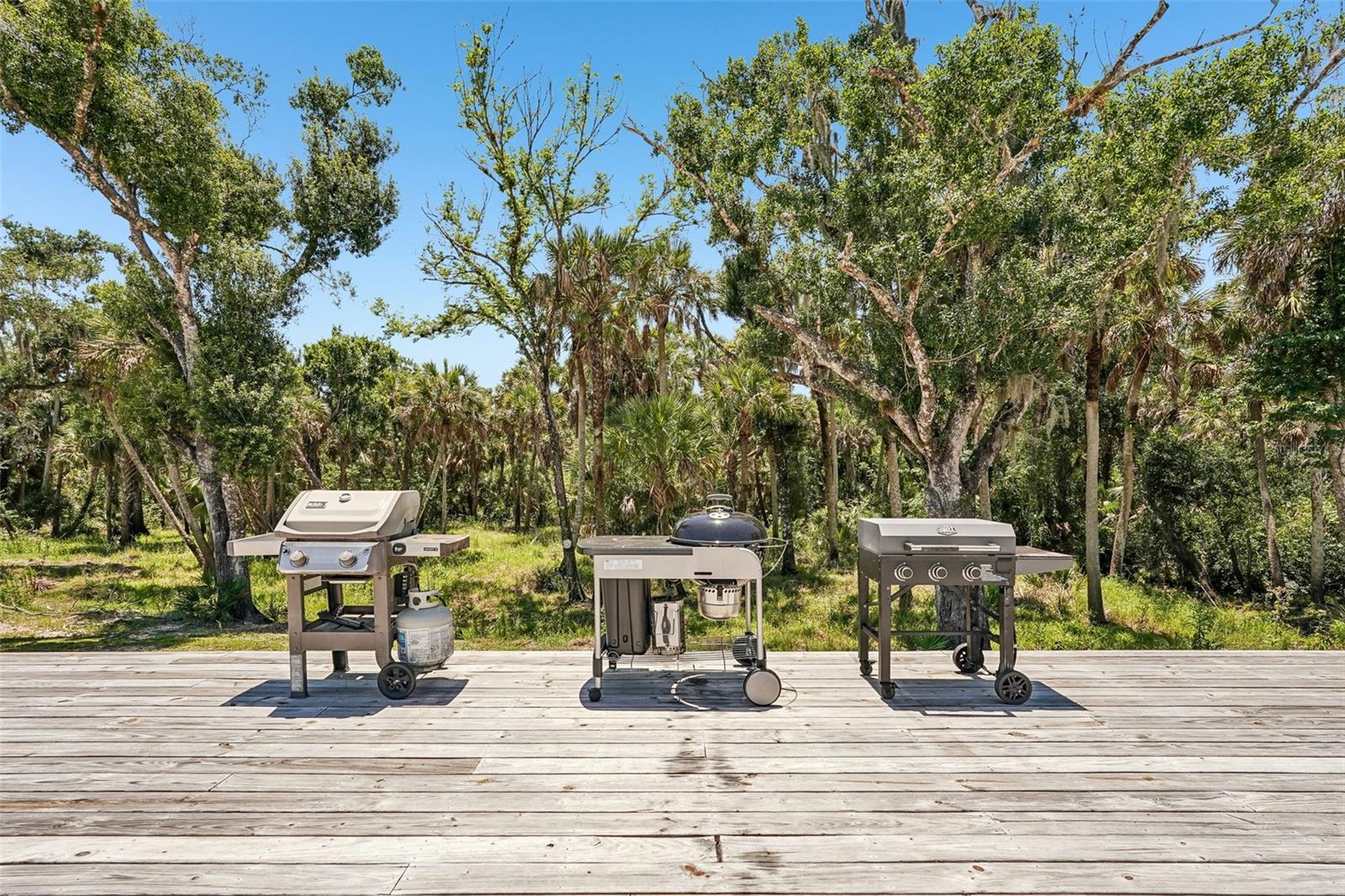 MYAKKA VALLEY RANCHES - Residential