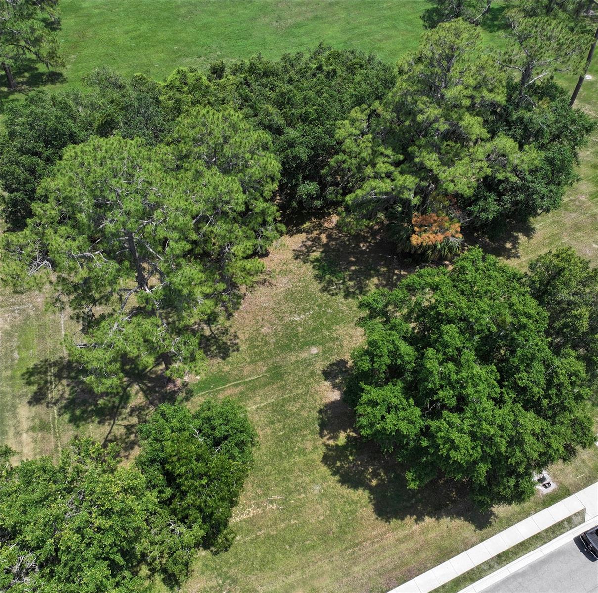 SAVANNA POINTE PH 1 - Land