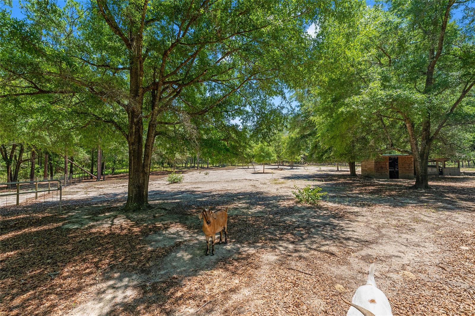 SHILOH RDG - Residential