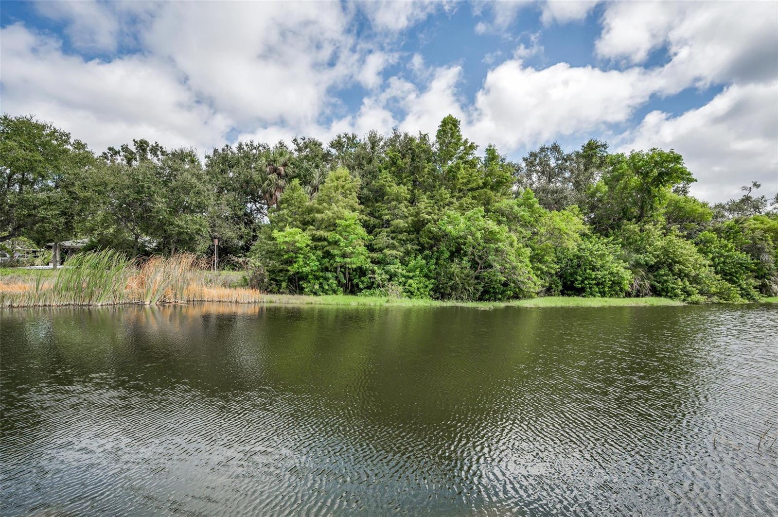 **GROUND FLOOR END UNIT WITH POND VIEWS, GARAGE, AND 3 BEDROOMS IN LARGO!** Welcome to 1400 Water View Drive W #104, a rare and highly desirable 3-bedroom, 2-bathroom condo offering the comfort, space, and convenience buyers are looking for. Perfectly positioned as a first-floor end unit, this home offers easy access, extra privacy, abundant natural light, and peaceful views of the community pond. Step inside to an open living and dining area designed for everyday comfort and easy entertaining. Large windows brighten the main living space while drawing your eye toward the serene water views. The spacious kitchen offers a smart and functional layout with plenty of cabinet space, a closet pantry, built-in spice cabinet, and extra storage drawers beneath the breakfast bar — thoughtful details that make daily living easier. The primary suite provides a private retreat with a walk-in closet and en-suite bathroom featuring a step-in shower. Two additional bedrooms add valuable flexibility for guests, family, hobbies, or a home office. Enjoy your morning coffee or unwind in the evening from the private screened lanai overlooking the pond. Additional features include an attached 1-car garage, in-unit laundry, and the convenience of ground-floor living. NO CARPET - TILE THROUGHOUT. The community offers a pool and clubhouse, and the location puts you just minutes from Gulf beaches, shopping, dining, parks, and everyday essentials. With 3 bedrooms, a garage, pond views, first-floor convenience, and an end-unit setting, this condo checks the boxes that are hard to find all in one place. Move-in ready and easy to love — schedule your private showing today!