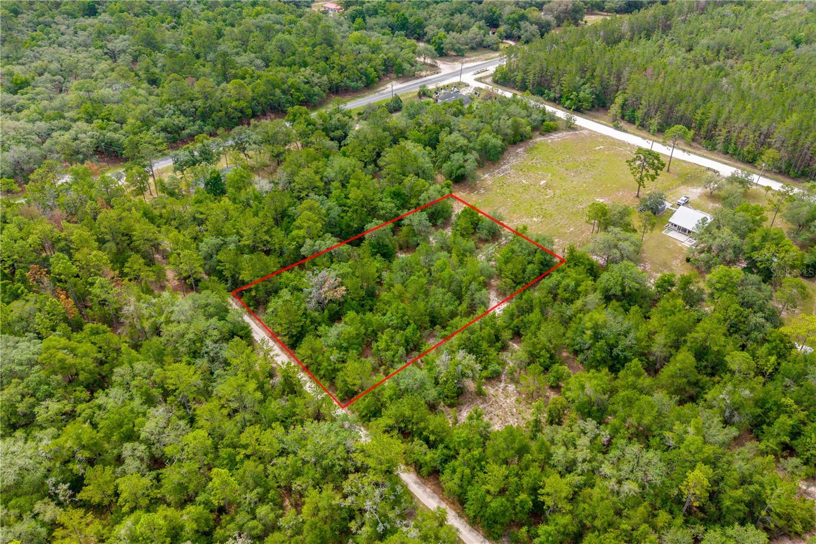 1.25-acre vacant lot located in Levy County, offering a great opportunity for a future homesite or investment property. Enjoy a rural setting while remaining conveniently located near many of North Central Florida's most popular destinations.

Approximately 10 minutes from Williston, 20 minutes from Devil's Den and Blue Grotto, 25 minutes from Cedar Lakes Woods & Gardens, 30 minutes from Gainesville, 30 minutes from HITS Ocala, and about 40 minutes from the World Equestrian Center. You'll also be within easy reach of shopping, restaurants, schools, medical facilities, and outdoor recreation.

Whether you're ready to build now or invest for the future, this property offers plenty of potential in a convenient location.

Buyer to verify zoning, building requirements, utility availability, flood zone, and intended use.