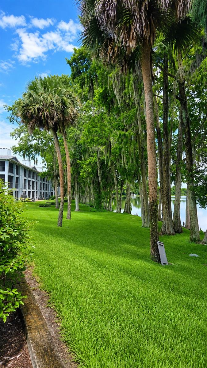 NORTHLAKE VILLAGE CONDO 5 - Residential