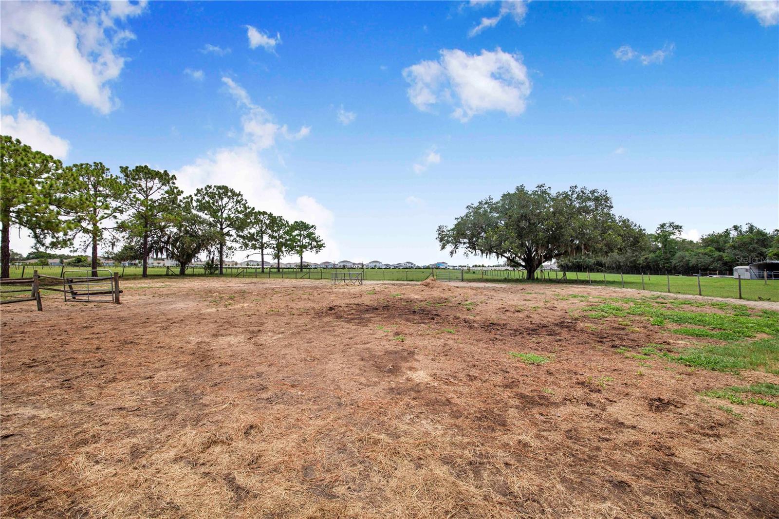 NOT IN SUBDIVISION - Residential