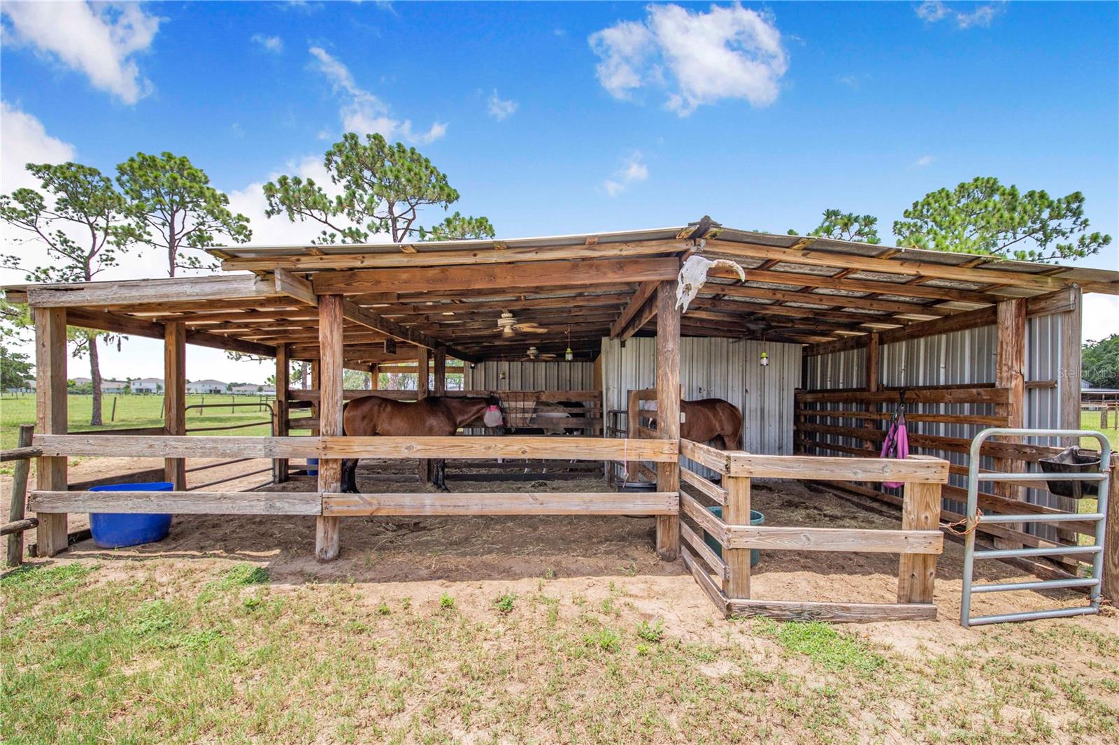NOT IN SUBDIVISION - Residential