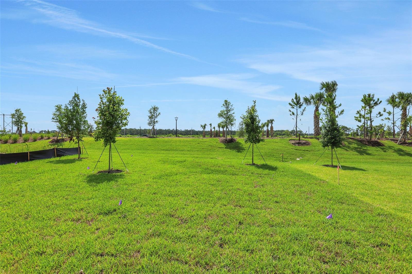BRYSTOL NORTH AT WYLDER - Residential