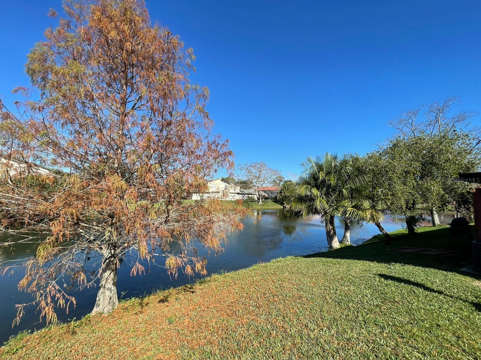 HIDDEN CREEK CONDO PH 08 - Residential Lease